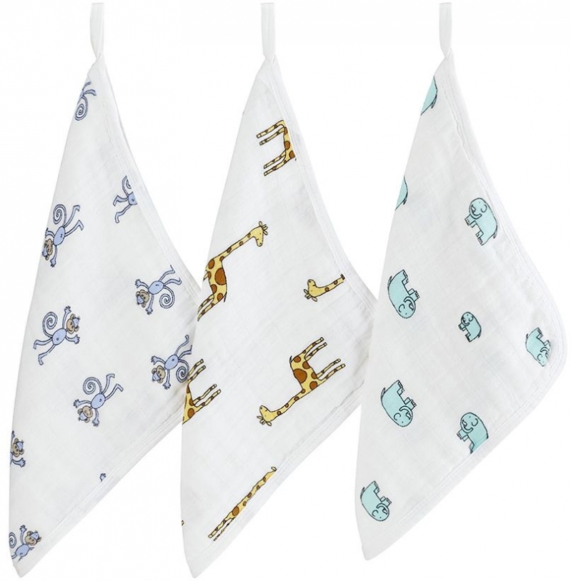 Aden and hot sale anais washcloth