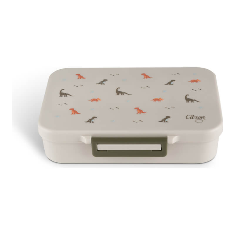 Citron Incredible Tritan Lunch Box with 4 Compartments - Dino