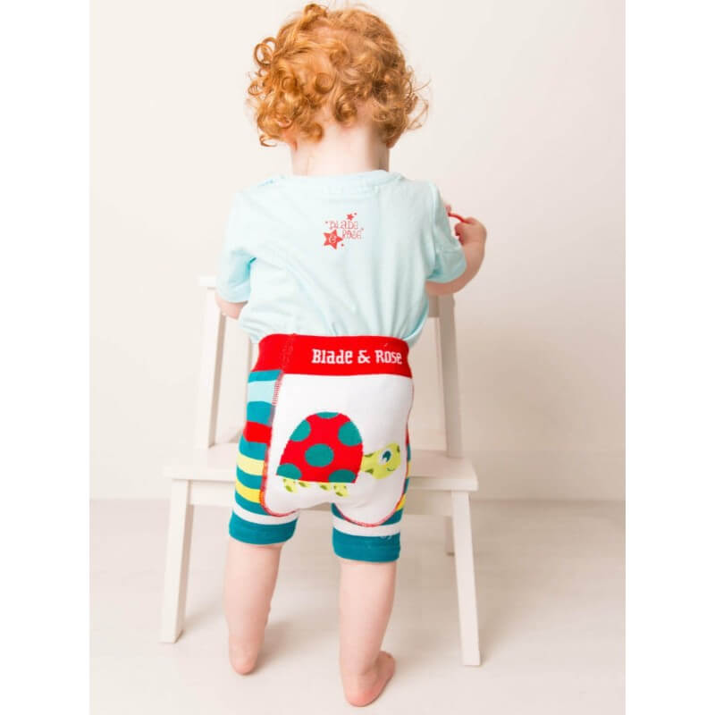 Blade & Rose Terry The Tortoise Shorts - 06-12 Months