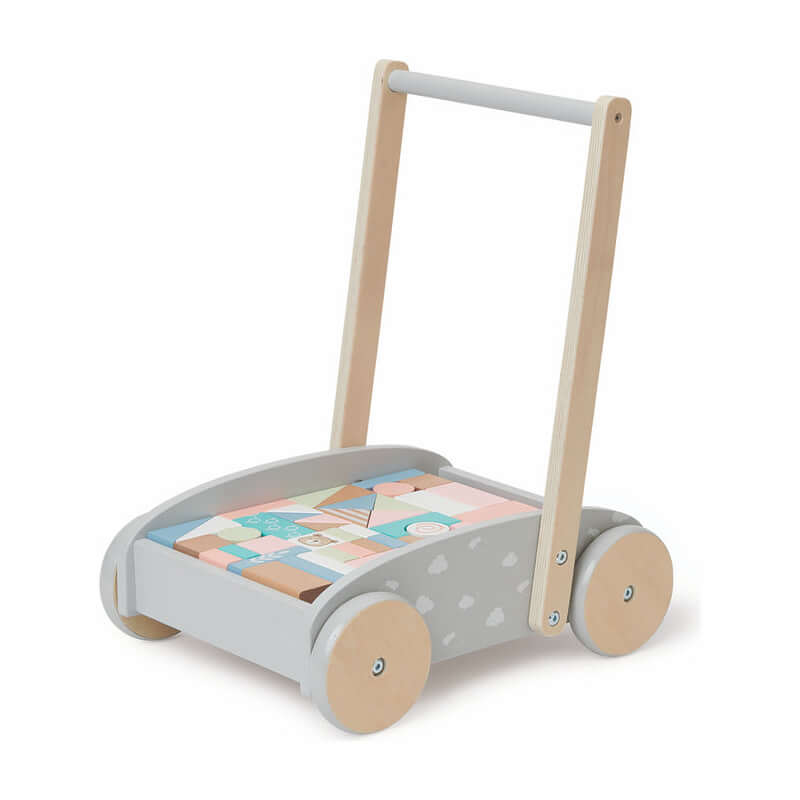 Bubble Wooden Baby Push Cart & Walker with 46 Building Blocks