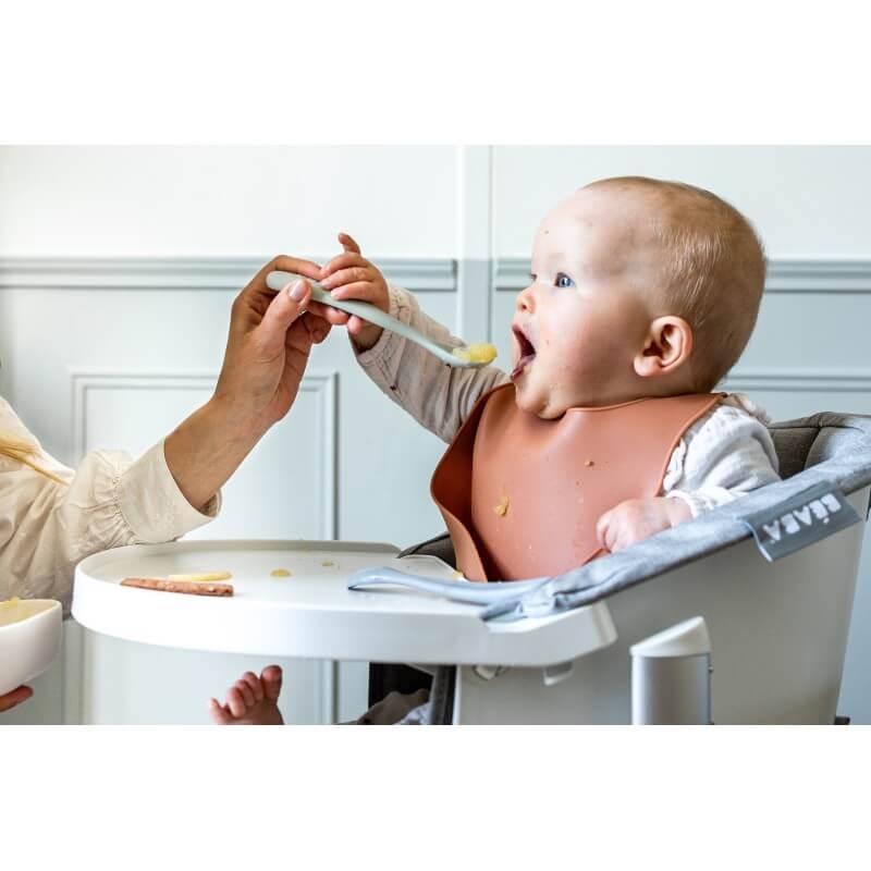 1st Stage Silicone Spoons 2 Pack with Case