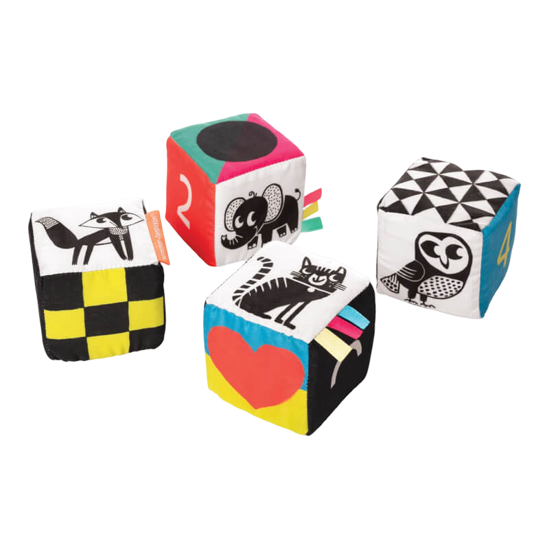 Wimmer Ferguson Mind Cubes