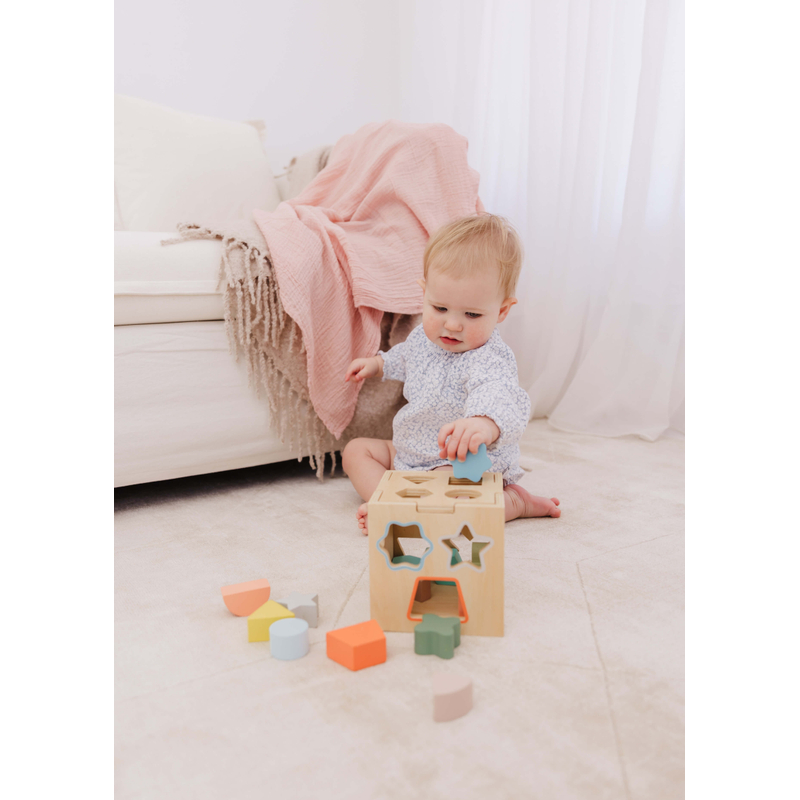 Wooden Shape Sorting Cube