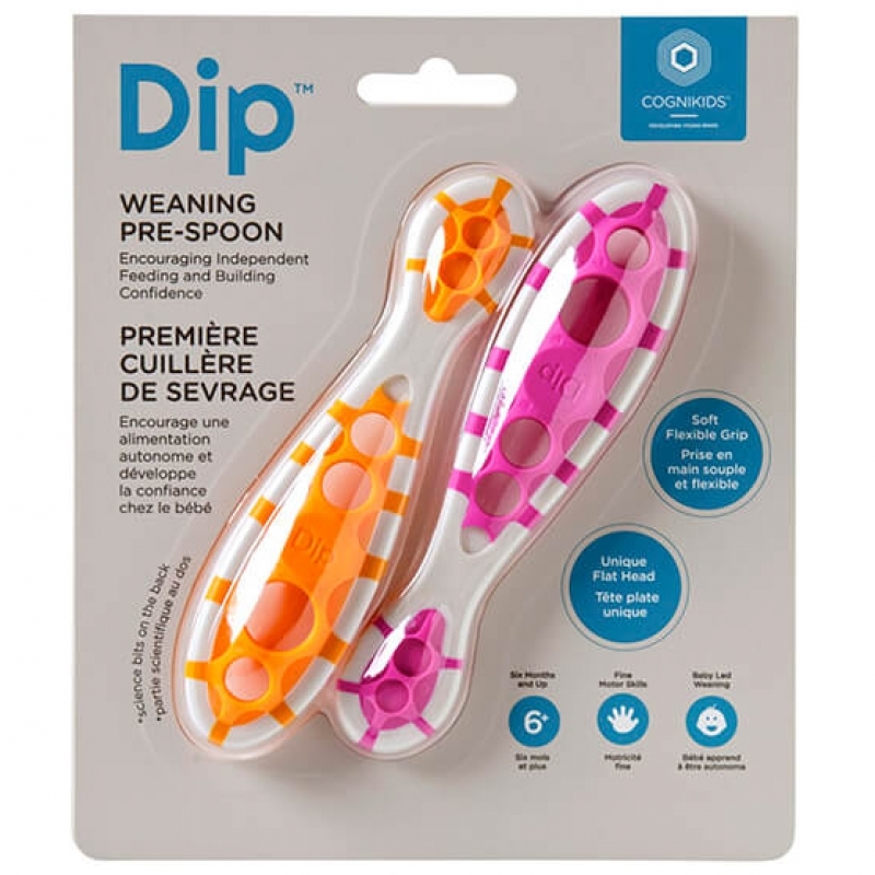 Cognikids dip store