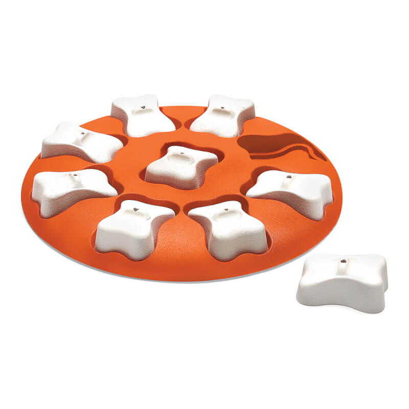 smartworks dog training