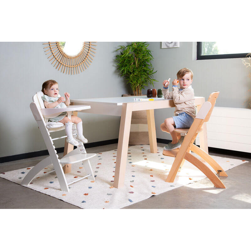 Evosit High Chair + Feeding Tray
