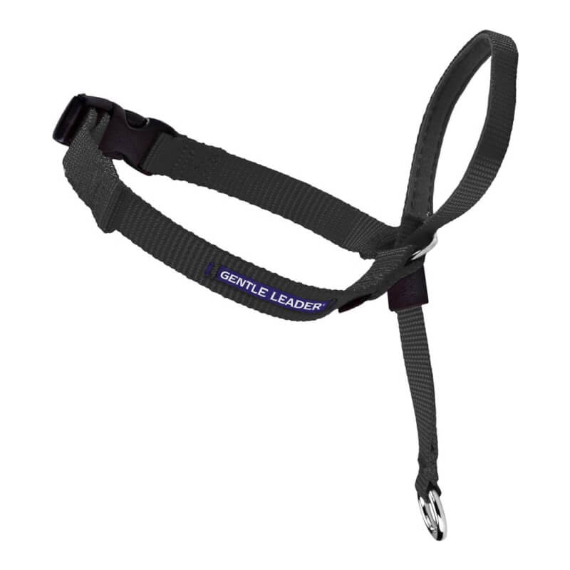 easy leader head collar
