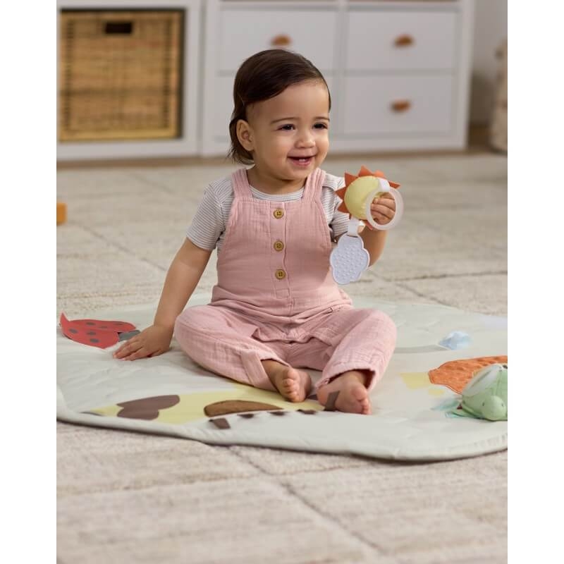 Geometric Wonders Activity Gym