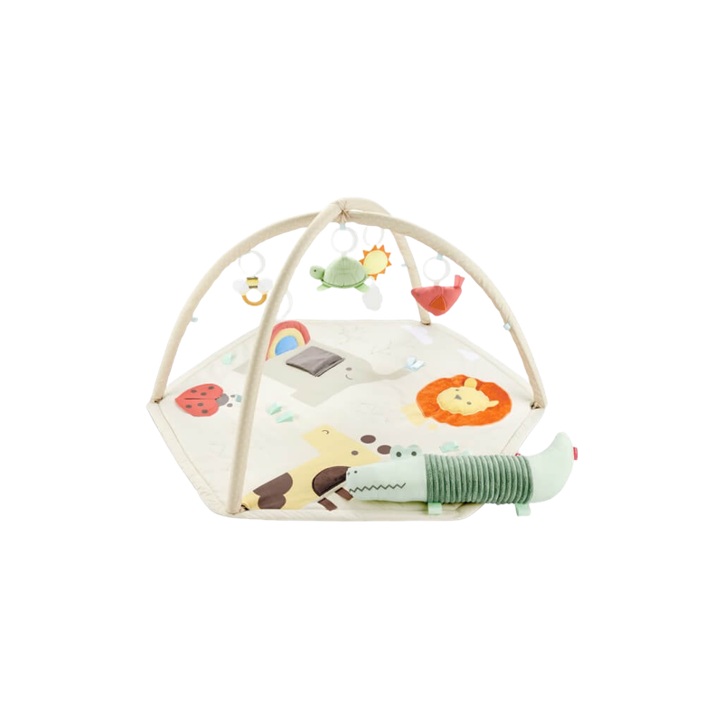 Geometric Wonders Activity Gym
