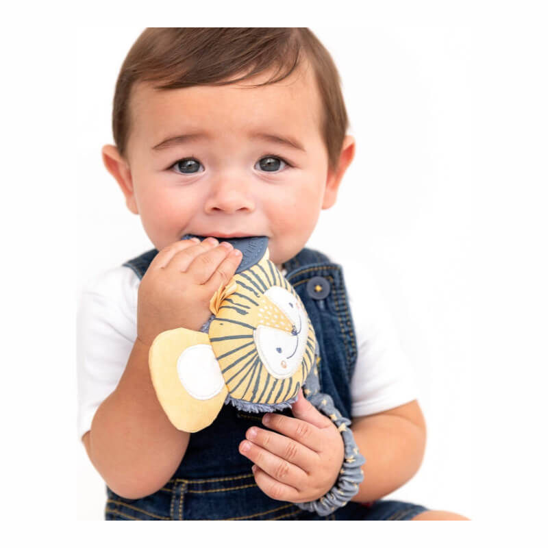 Cheeky Chompers Handychew Sensory Baby Teething Toy - Bertie the Lion