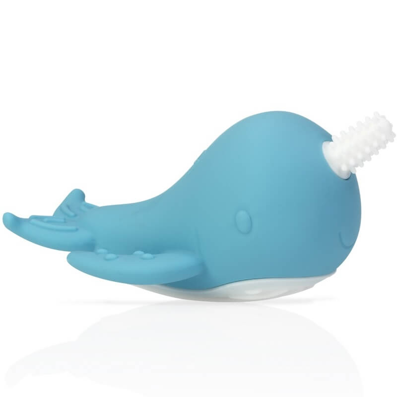 nuby shark teether