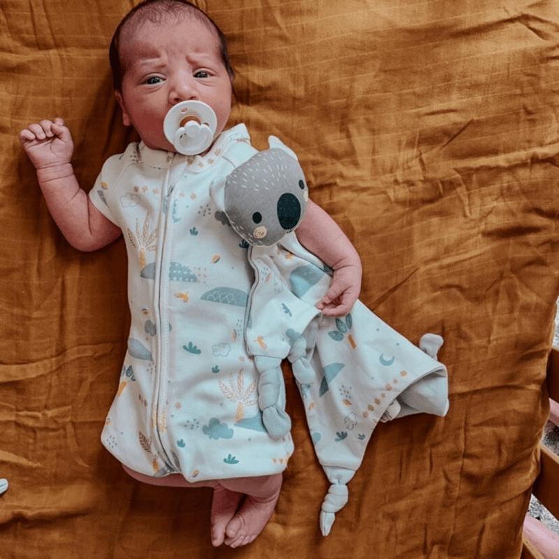 Organic cotton baby sales comforter