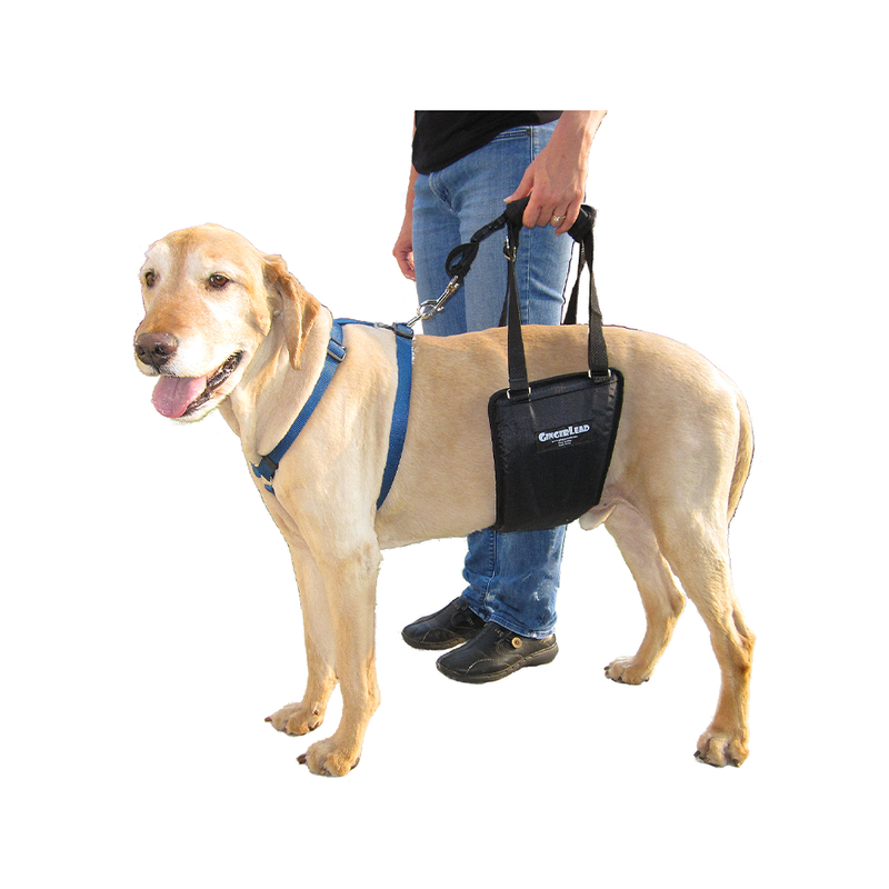 gingerlead dog harness