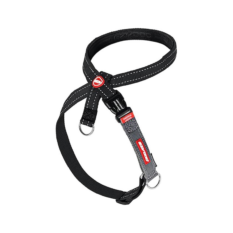 ezydog training lead