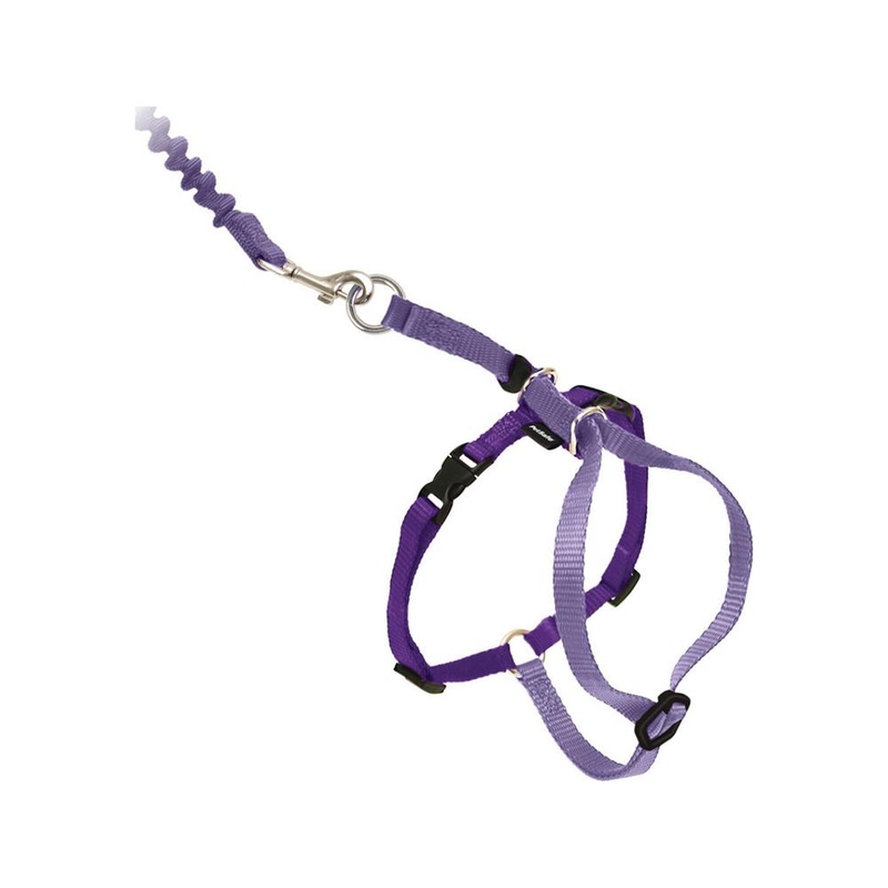 purple cat harness