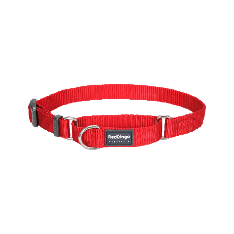Red martingale collar clearance