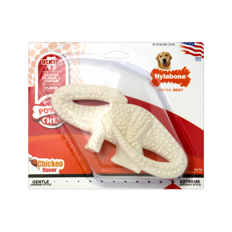 nylabone dinosaur puppy