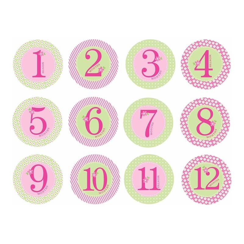 Pearhead First Year Belly Stickers - Pink