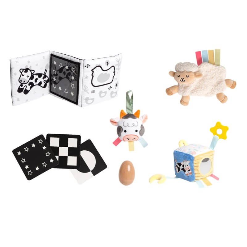 Pearhead Learning Kit - 0-6 Months