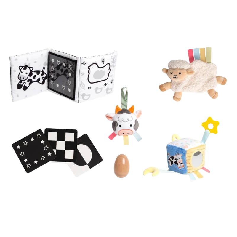 Pearhead Learning Kit - 0-6 Months