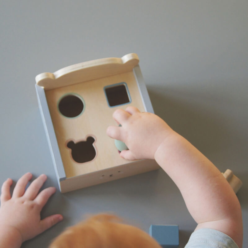 Sorter Box - Teddy