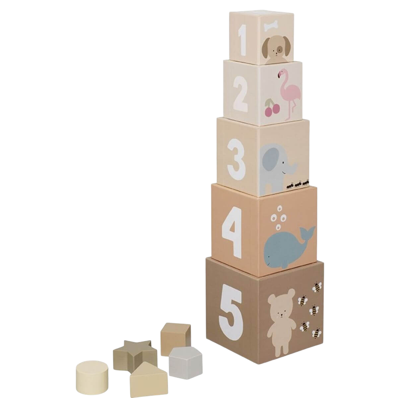 Stacking And Sorting Cubes Nature