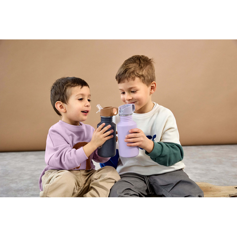 Stainless Steel Bottle 