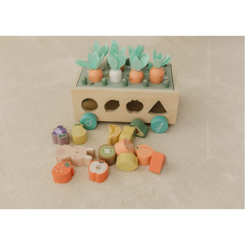  Wooden Vegetable Garden