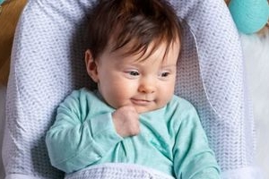 Red Castle | Cocoonababy Nest - Jersey Happy Fox