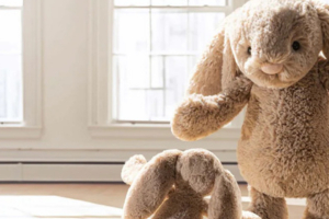 Jellycat