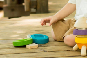PLANTOYS