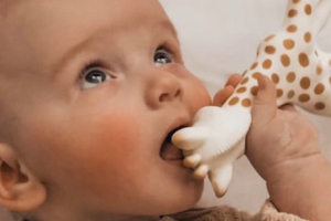 Sophie la Girafe