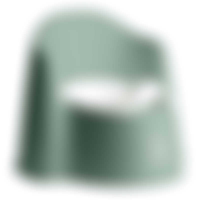 BabyBjorn Potty Chair - Deep Green/White