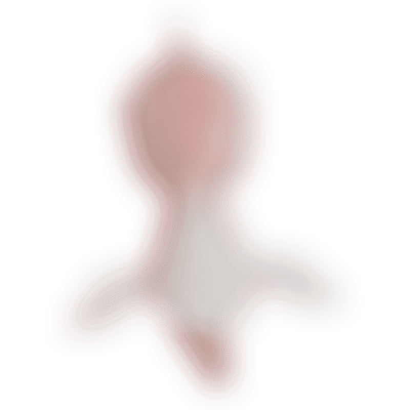Bubble Plush Seahorse