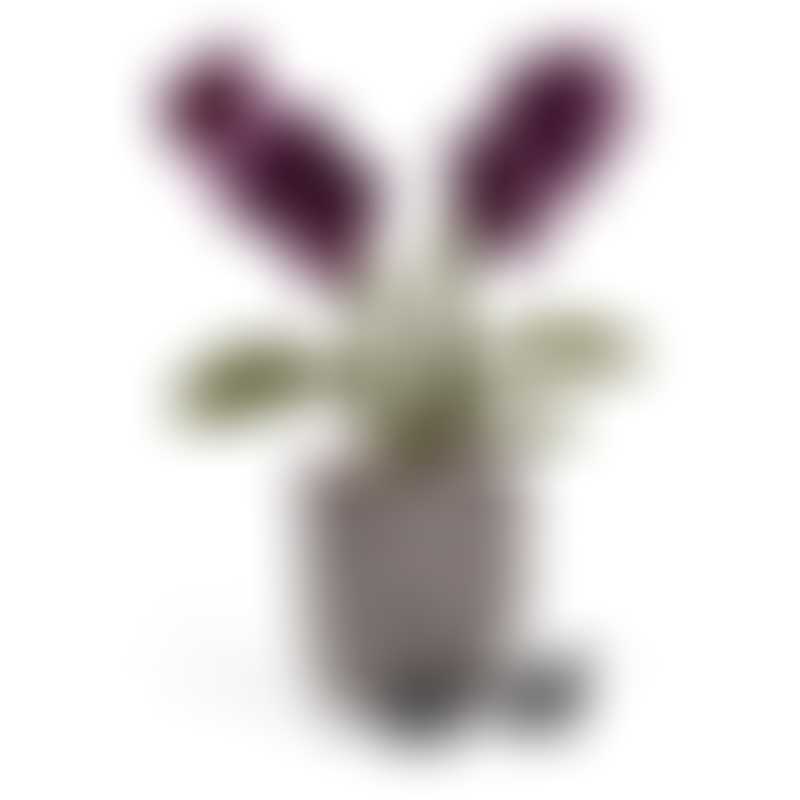 Jellycat Amuseable Purple Orchid 29cm