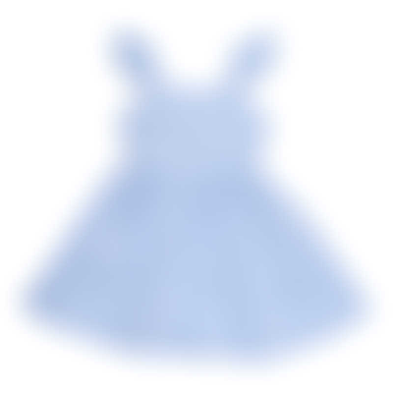 Cotton Pigs Little Girl's Blue Gingham Flutter Sleeve Dress
