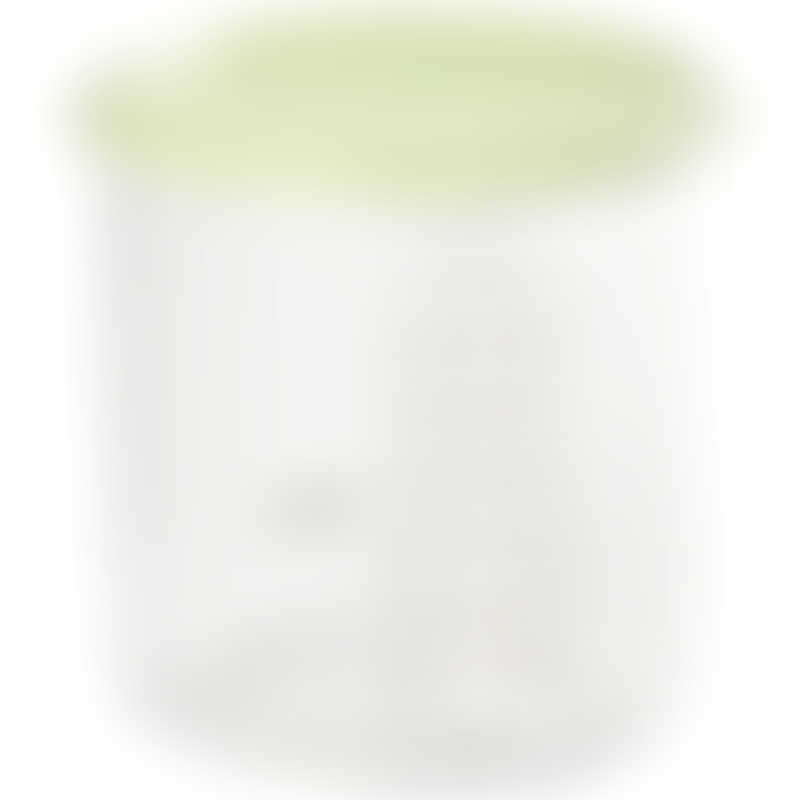 Beaba Maxi+ Portion Conservation Jar 420ml - Light Green