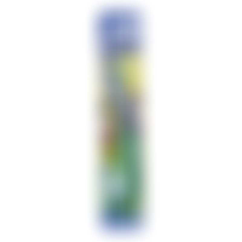 Oral-B Stage 2 Toothbrush - 2-4 years (blue/green)