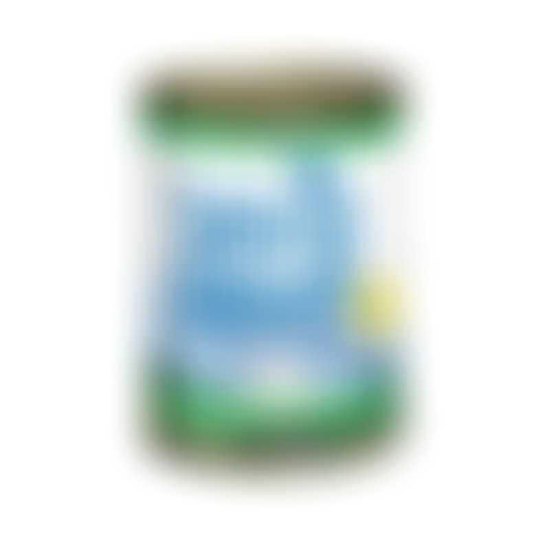 Natural Balance LID Vegetarian Canned Formula-  13oz