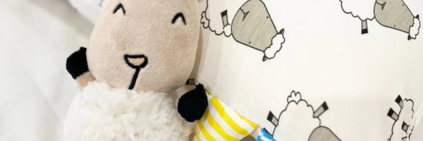 Baa Baa Sheepz®