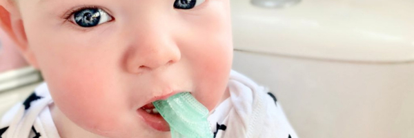 Brushbaby