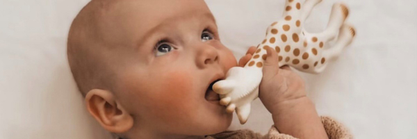 Sophie la Girafe